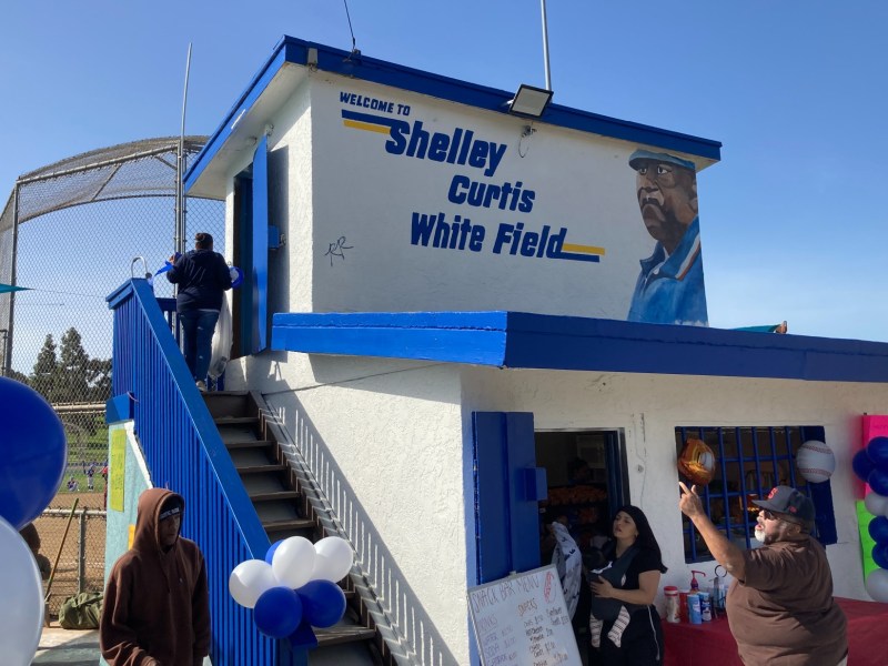 Shelley Curtis Wright Field